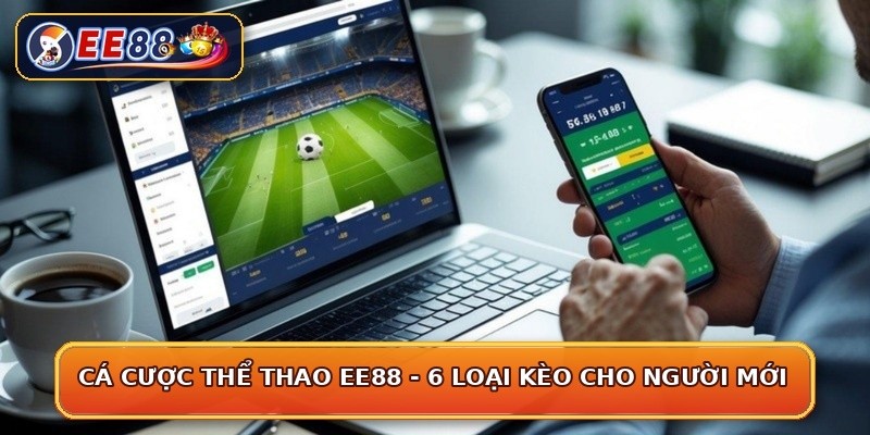 Cá Cược Thể Thao EE88 - 6 Loại Kèo Cho Người Mới