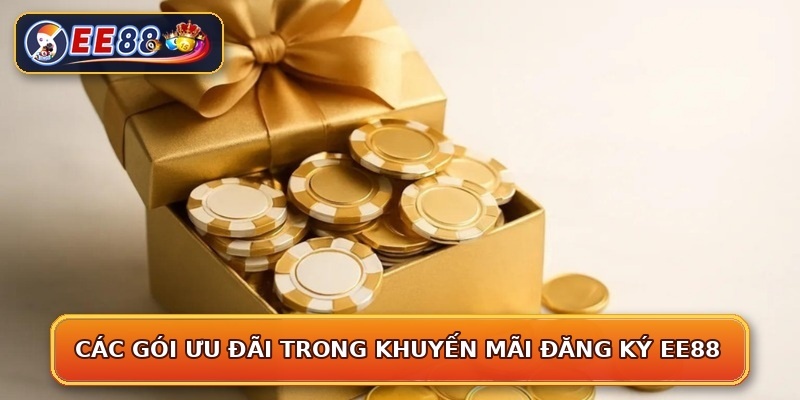 Các gói ưu đãi trong khuyến mãi đăng ký EE88