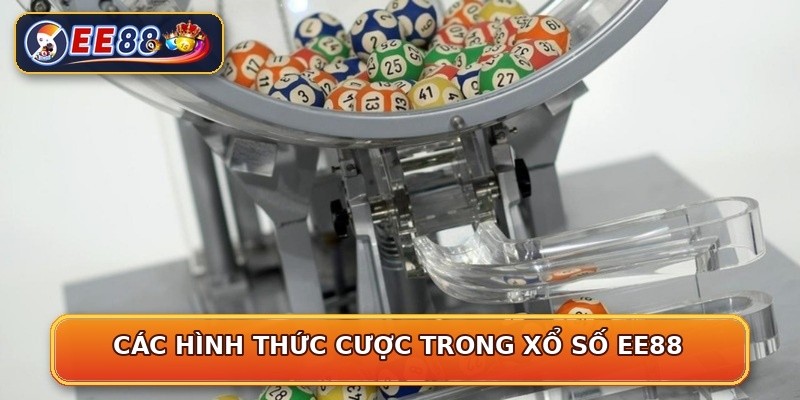 Các hình thức cược trong xổ số EE88