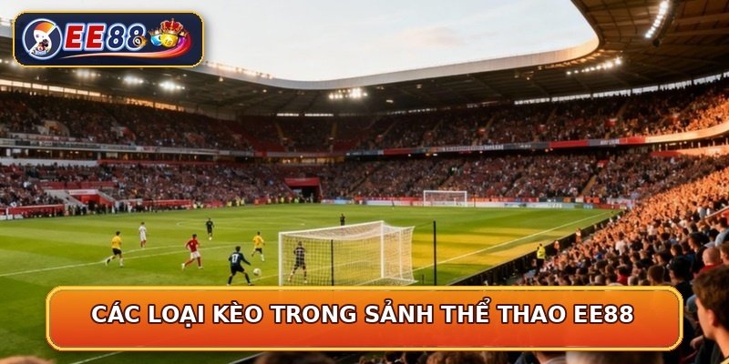 Các loại kèo trong sảnh thể thao EE88