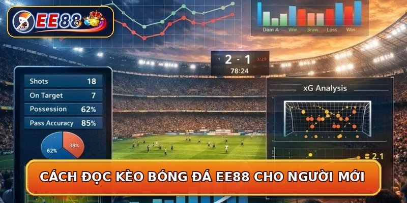 Cách đọc kèo bóng đá EE88 cho người mới