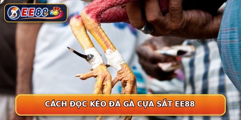Cách đọc kèo đá gà cựa sắt EE88