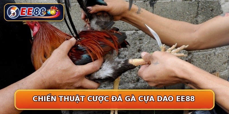 Chiến thuật cược đá gà cựa dao EE88