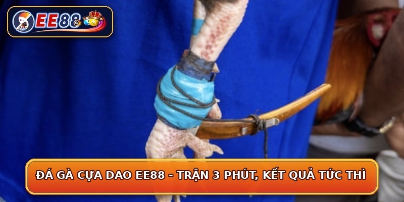 Đá Gà Cựa Dao EE88 - Trận 3 Phút, Kết Quả Tức Thì