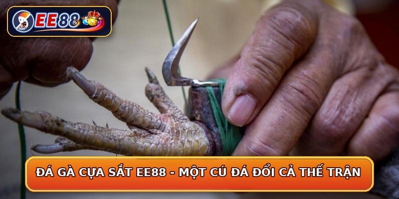 Đá Gà Cựa Sắt EE88 - Một Cú Đá Đổi Cả Thế Trận