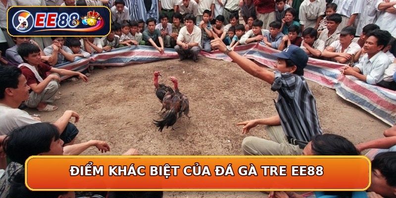 Điểm khác biệt của đá gà tre EE88