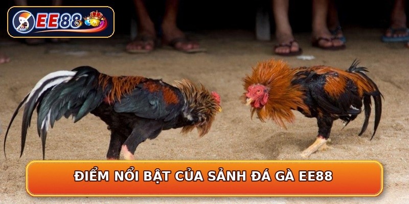 Điểm nổi bật của sảnh đá gà EE88