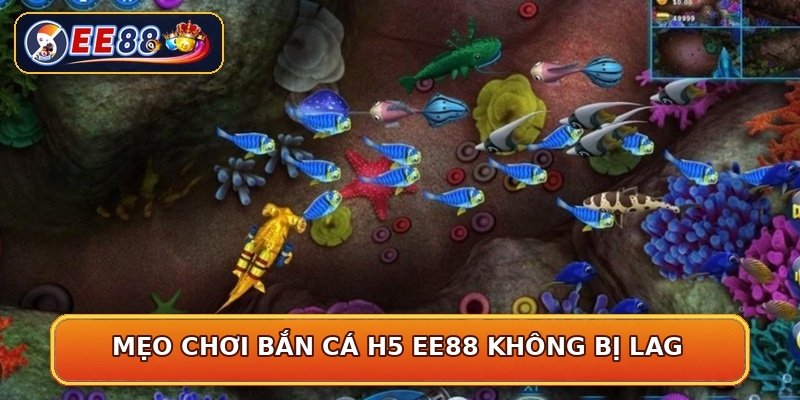 Mẹo chơi bắn cá H5 EE88 không bị lag