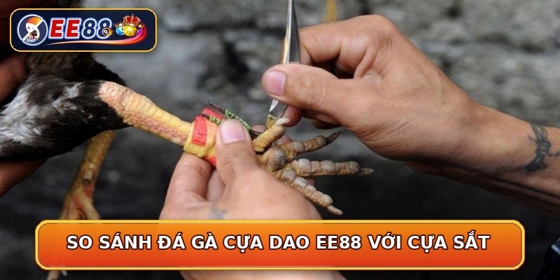So sánh đá gà cựa dao EE88 với cựa sắt
