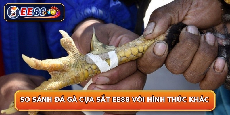 So sánh đá gà cựa sắt EE88 với hình thức khác