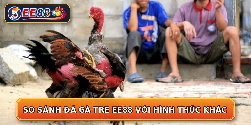 So sánh đá gà tre EE88 với hình thức khác